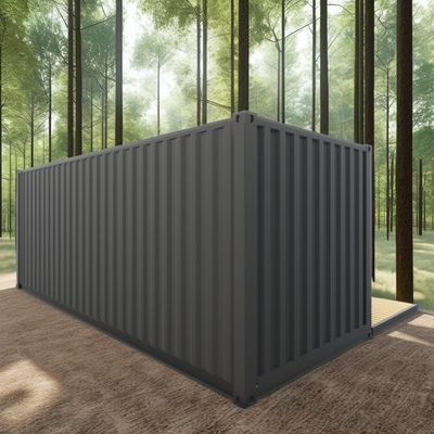 Log 20ft Eco-Friendly Flat Pack Container House Prefabricado Construção Sustentável Estrutura de aço Resiliente chuva Vento Loja de neve