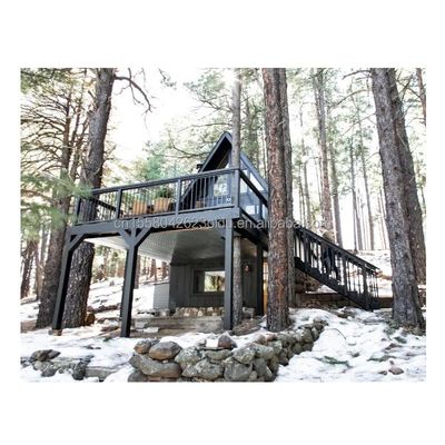 20ft ou 40ft Container Modern Design EU Triângulo Forma Estrutura de aço Casas de madeira com estrutura de aço em forma de A Quadro Sala